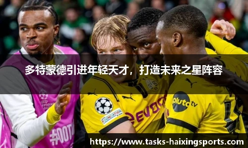 多特蒙德引进年轻天才，打造未来之星阵容