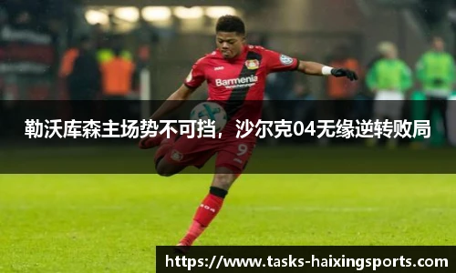 勒沃库森主场势不可挡，沙尔克04无缘逆转败局